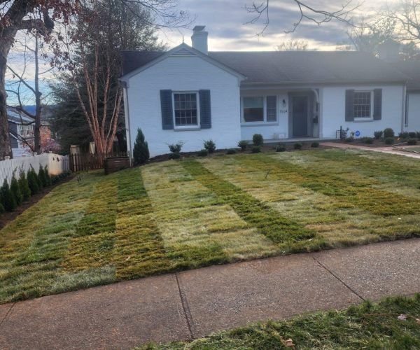 439d7542-945a-4830-8171-4940746e693c